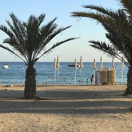 Homely Apartments Playa De Los Locos Torrevieja Dış mekan fotoğraf
